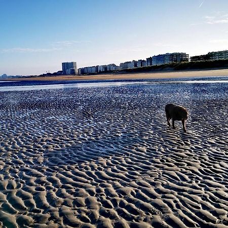 Apartament Hhvdk Aan Zee Oostduinkerke Zewnętrze zdjęcie