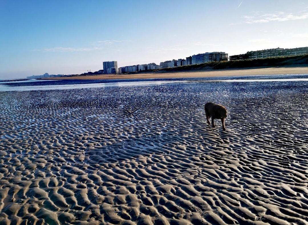 Apartament Hhvdk Aan Zee Oostduinkerke Zewnętrze zdjęcie